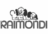 logo-raimondi